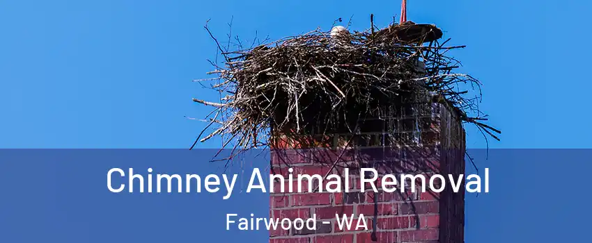  Chimney Animal Removal Fairwood - WA