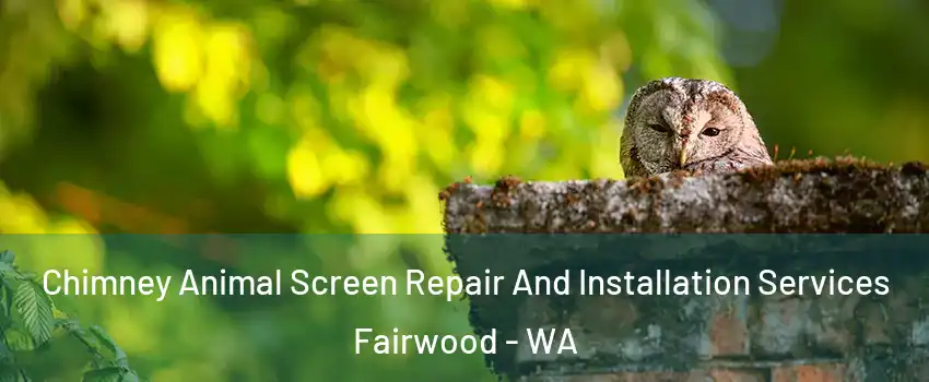  Chimney Animal Screen Repair And Installation Services Fairwood - WA