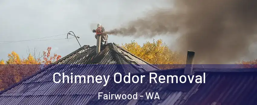  Chimney Odor Removal Fairwood - WA