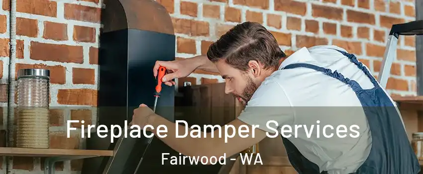  Fireplace Damper Services Fairwood - WA
