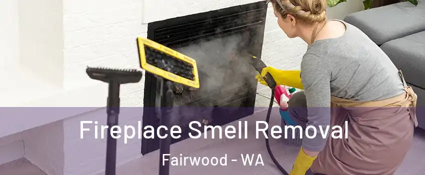 Fireplace Smell Removal Fairwood - WA