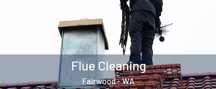  Flue Cleaning Fairwood - WA