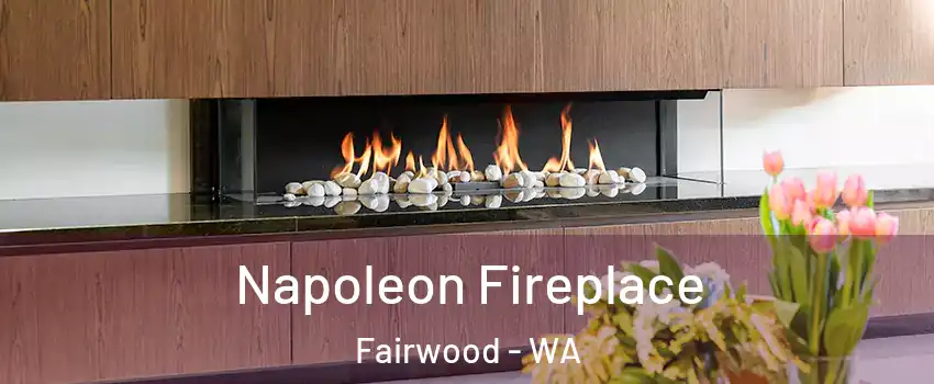  Napoleon Fireplace Fairwood - WA